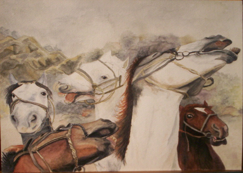 Les chevaux par Aude Malézieux