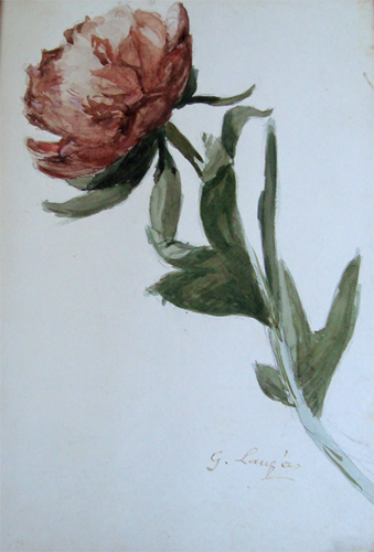 Fleur par Georges Paul François Laurent Laugée