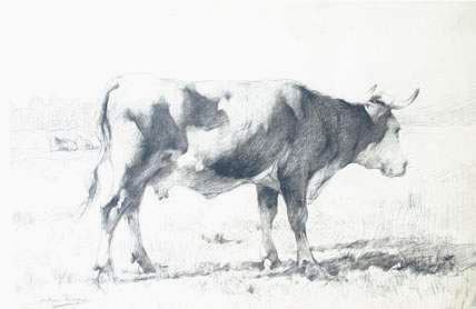 Une vache dans un pré par Julien Dupré