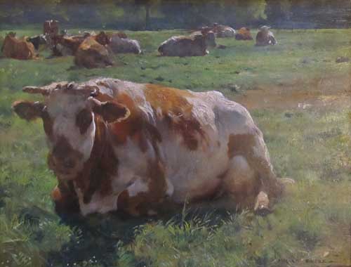 Vaches au repos par Julien Dupr