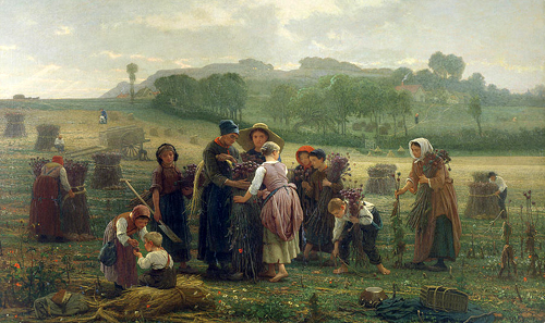 La récolte des oeillettes en Picardie par Désiré François Laugée