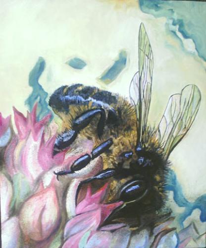 L'abeille par Brice Malzieux