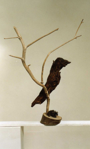 L'oiseau sur la branche par Claude Ducher