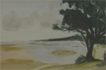 Un arbre plage de Noirmoutier
