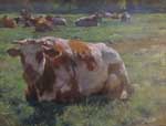 Une vache au repos