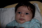 Apolline Zlie Maya Malzieux