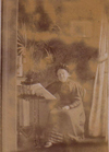 Julie Lauge