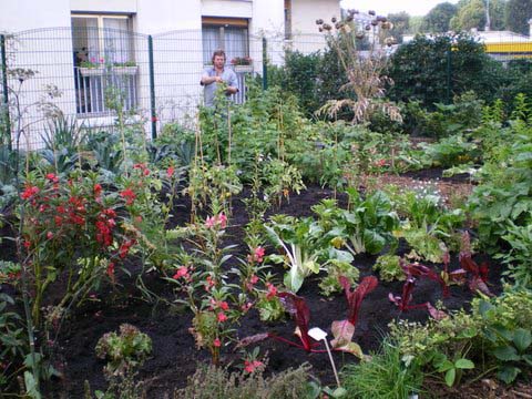 Un jardin ducatif par Stphane Moreau