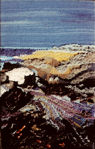 Le varech par Aude Malzieux
