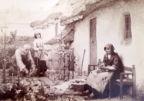 Pour la soupe par Dsir Franois Lauge