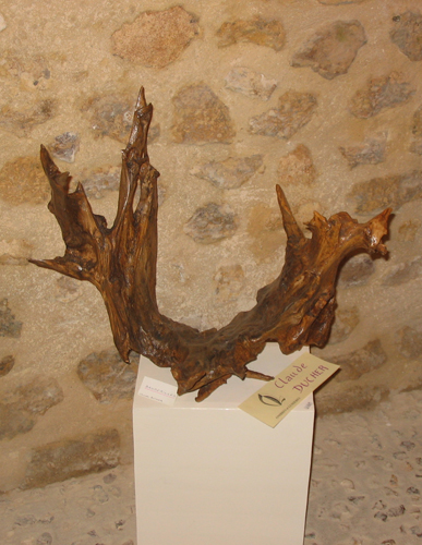 Racines par Claude Ducher