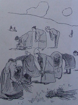 La vie de la terre par Georges Paul Franois Laurent Lauge