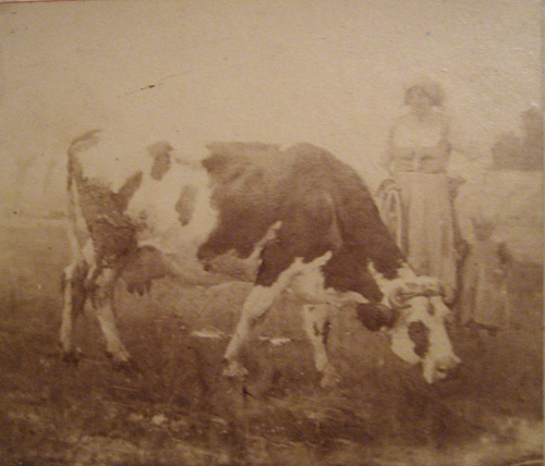 Vache et fermire par Georges Paul Franois Laurent Lauge