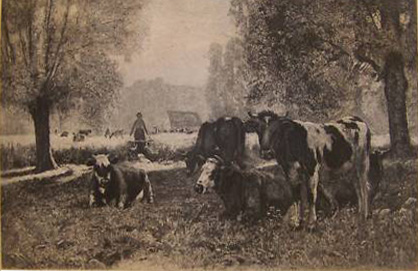 Les vaches par Julien Dupr