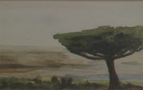 Pin parasol  Noirmoutier par Madeleine Dupr
