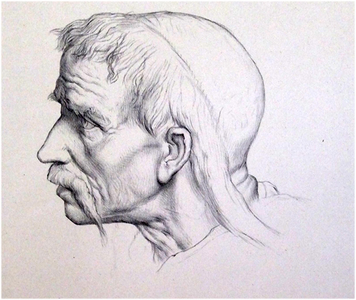 Tte d'homme par Dsir Franois Lauge