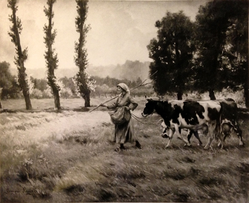 Dans le communal d'Arques par Georges Paul Franois Laurent Lauge