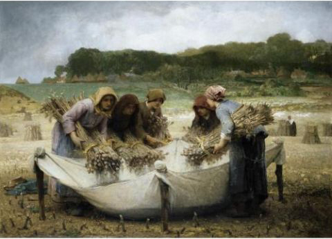 Le battage des oeillettes par Dsir Franois Lauge