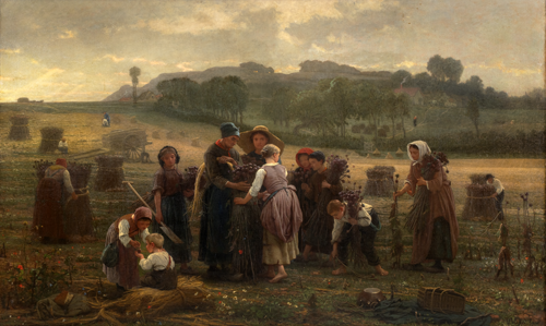 La rcolte des oeillettes en Picardie par Dsir Franois Lauge