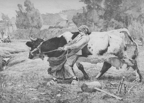La vache obstine par Dsir Franois Lauge