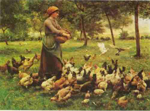 Le repas des volailles par Thrse Marthe Franoise Dupr