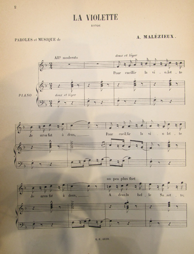 La violette par Albert Malzieux