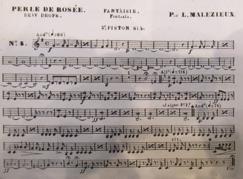 Perle de rose par Lon Fursy Malzieux
