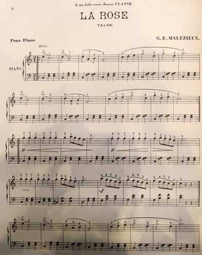 La rose par Georges Ernest Malzieux