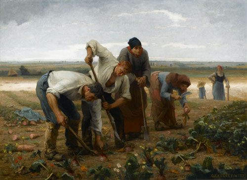 Arracheurs de betteraves en Picardie par Georges Paul Franois Laurent Lauge