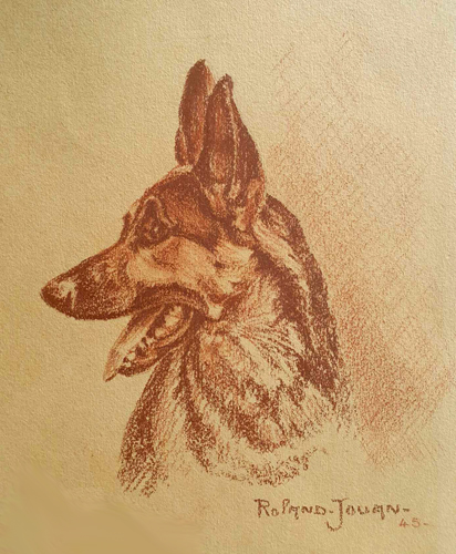 Le chien par Franois Rolland Jouan