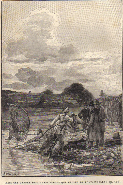 Mais ces carpes sont aussi belles que celles de Fontainebleau par Georges Paul Franois Laurent Lauge