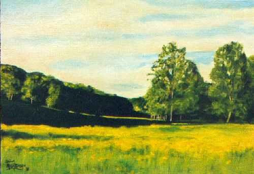 Bouton d'or par Brice Malzieux