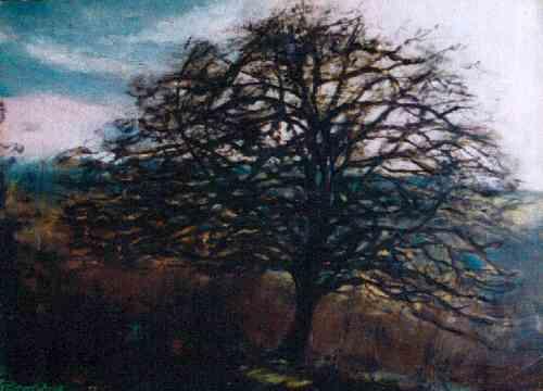 L'arbre noir par Brice Malzieux