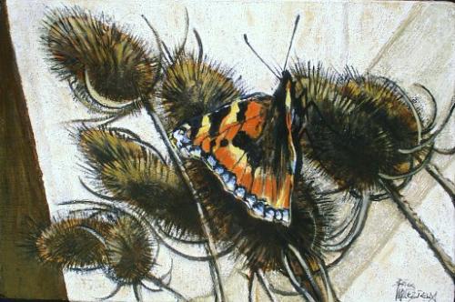 Papillon par Brice Malzieux