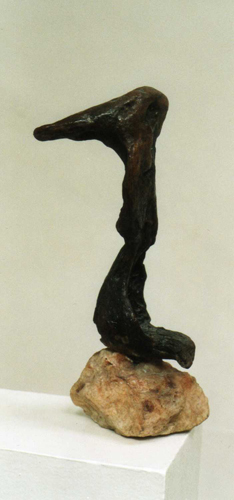 L'oie par Claude Ducher