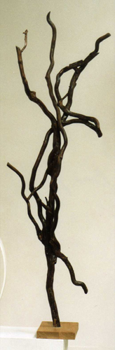 La Danse par Claude Ducher