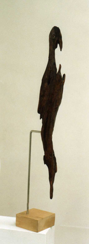 Le vautour par Claude Ducher
