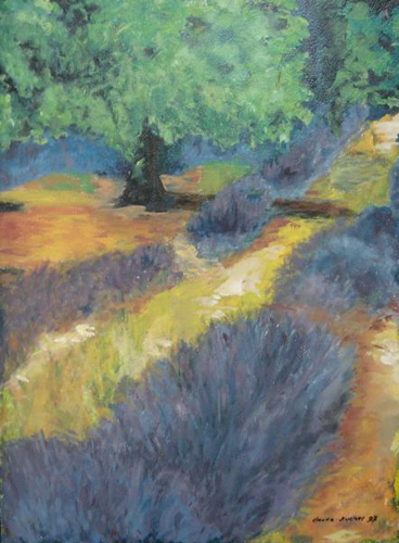 Lavande par Claude Ducher
