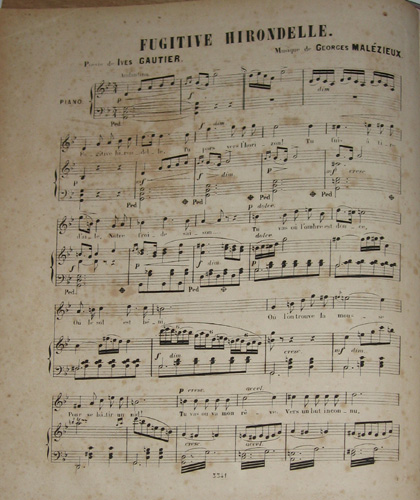 Fugitive hirondelle par Joachim Georges Leon Malzieux
