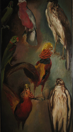 Etude d'oiseaux par Jean Baptiste Malzieux
