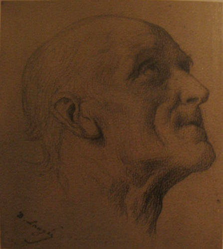 Tte d'homme par Dsir Franois Lauge