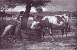 La prairie