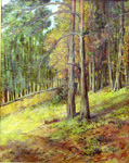 Parc d'automne