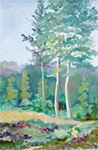 Sous-bois