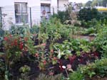 Un jardin ducatif
