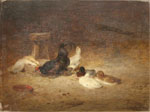 Canards coq et poules dans une table