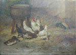 Un canard, poules et coq