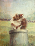 Chat sur un seau