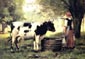 La laitiere et sa vache