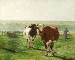 Vaches dans la prairie